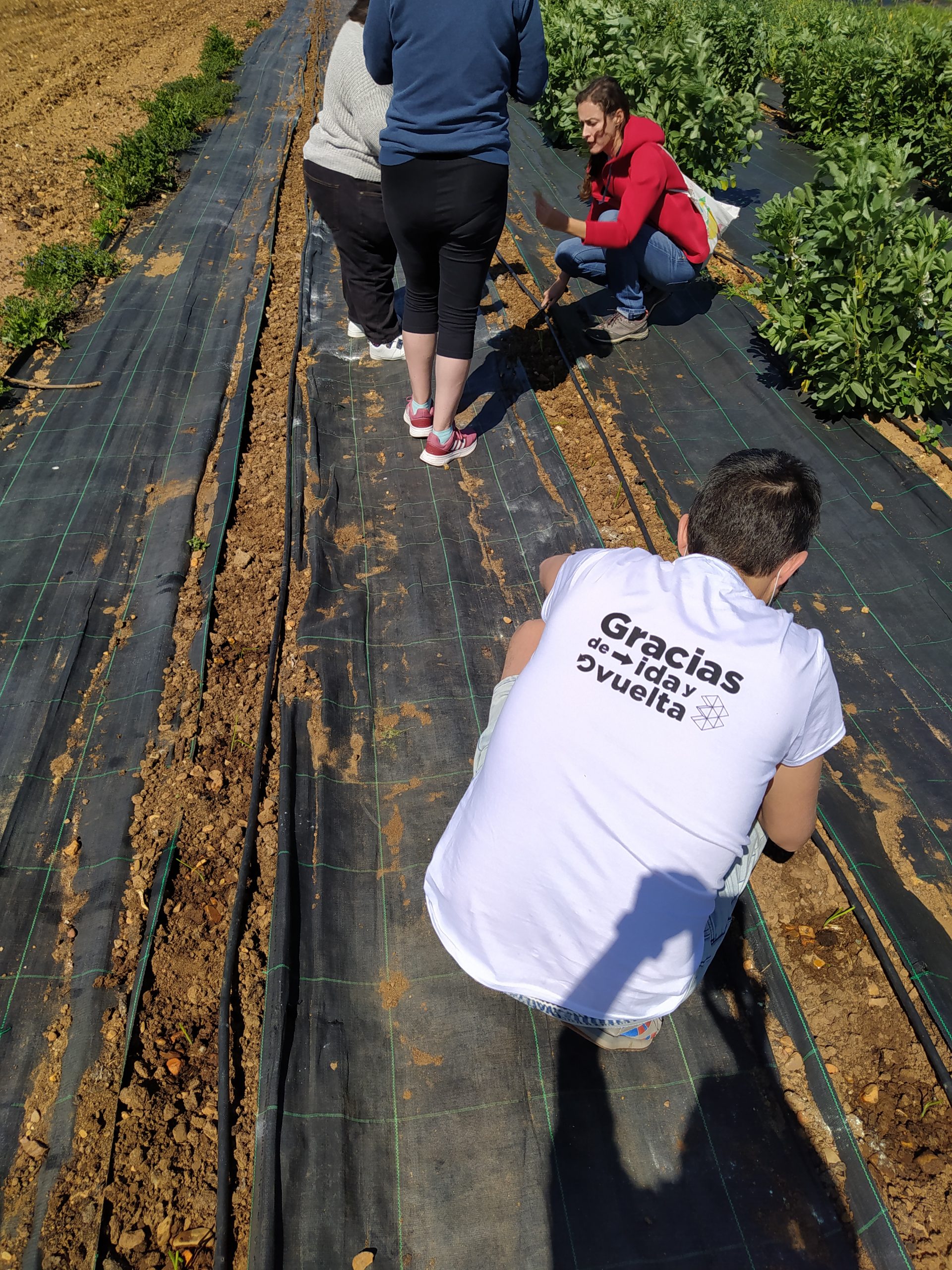 Colabora con nosotros en el voluntariado individual